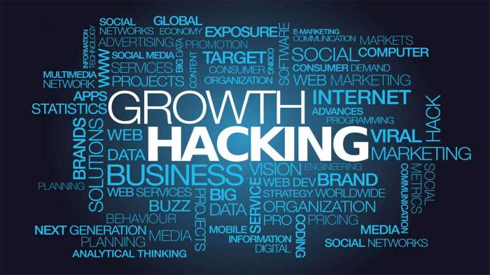 Growth hacking business